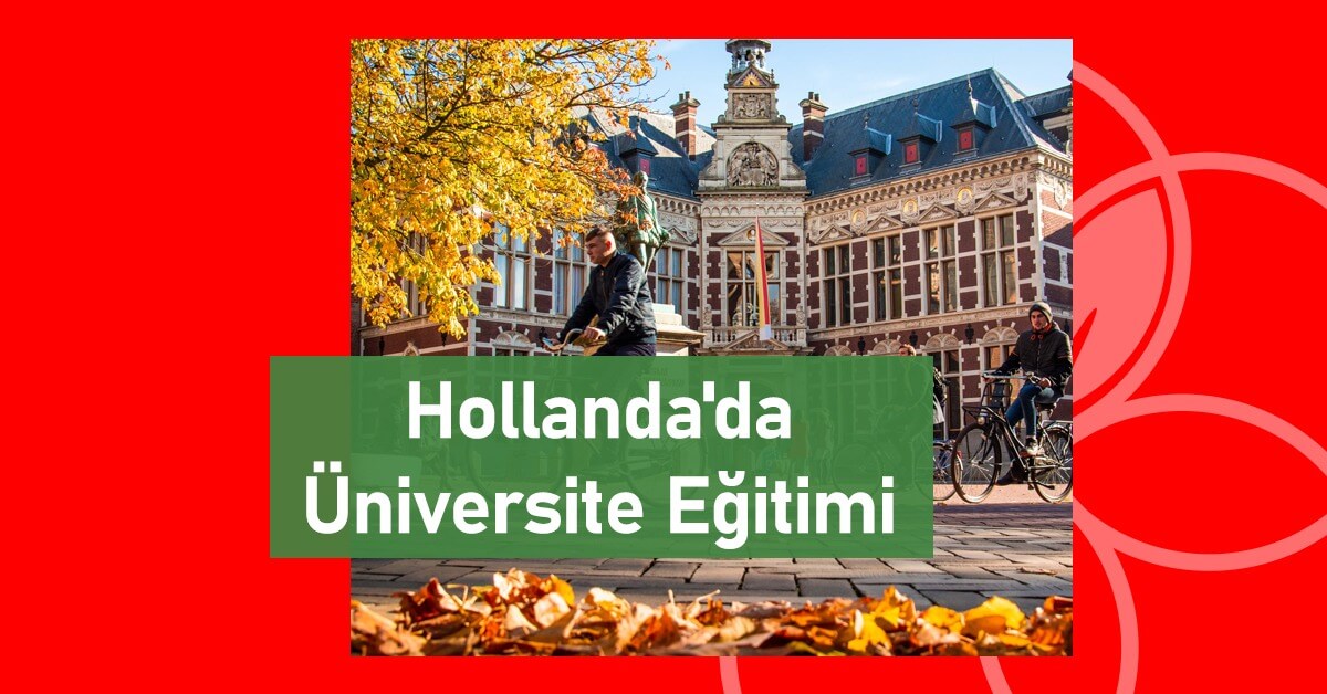 hollandada üniversite eğitimi